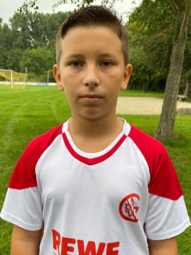 Radomir Pavlovic