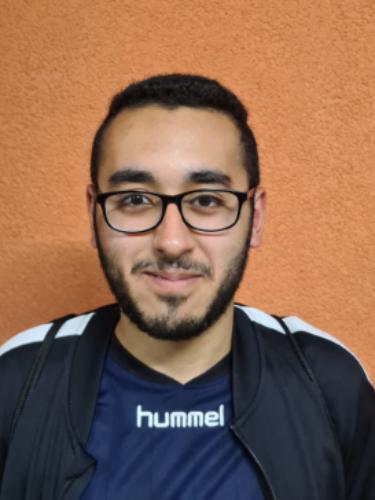 Ahmed Abdel Hamid