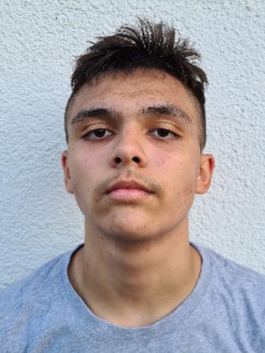 Nicolas-Alexandru Mocanu