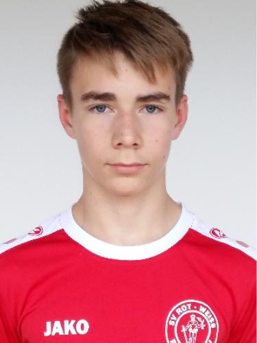 Manuel Drogoin