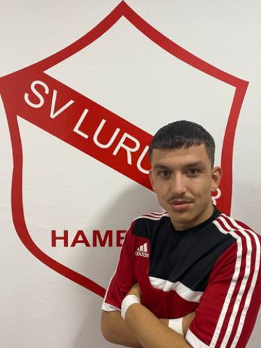Almir Dzeladini
