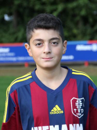Milan Sendur