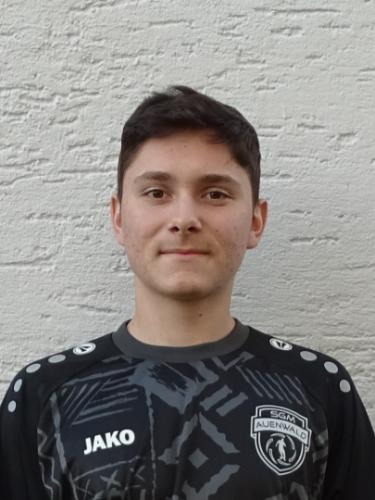 Fabian Ungar