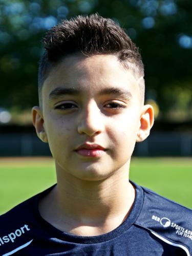 Mohammad Ehsan Gulhasani