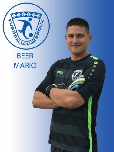 Mario Beer