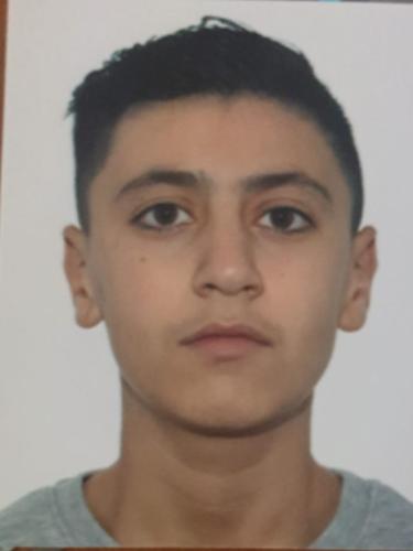 Faisal Hamo