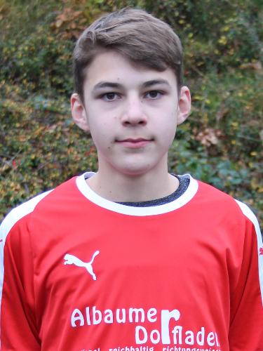 Hannes Mertens
