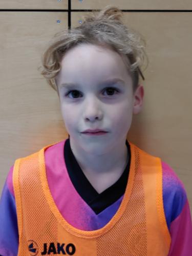 Levin Castiel Schaub