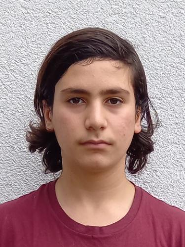 Aram Salim