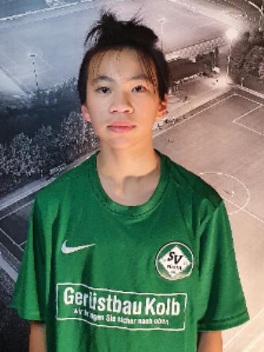Nguyen Sinh Hung