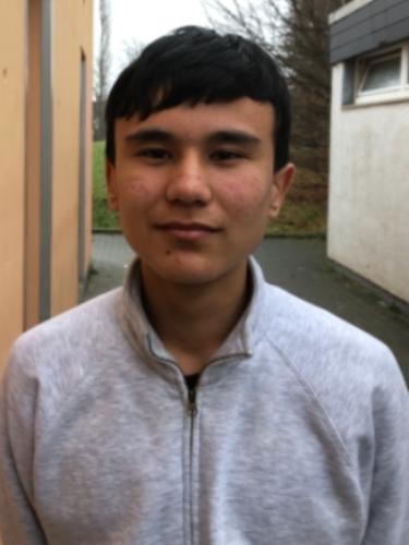 Mohammad Milad Ahmadi