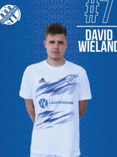 David Wieland