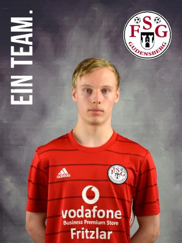 Niklas Schwedes