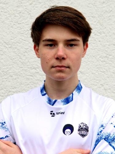 Peter Franz Valentin Wenzel