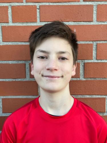 Vincenzo Pietro Henke