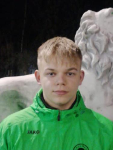 Leon-Waldemar Streit