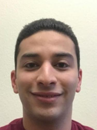 Ahmed Hesham Mostafa Mohamed Elmeligy