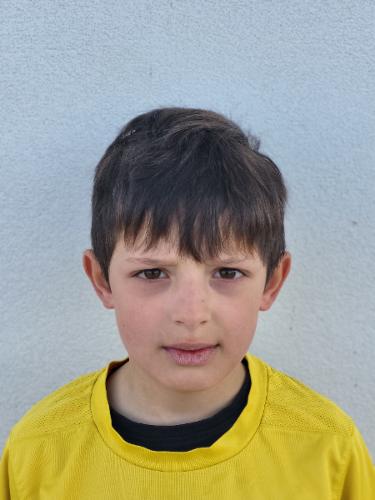Anes Iseni