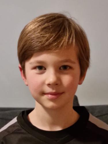 Lion Steingasser