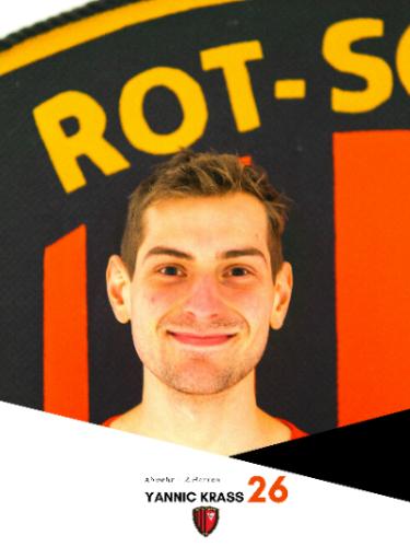 Yannic Sebastian Krass