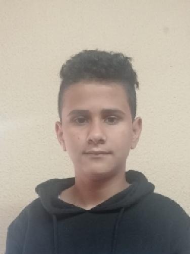 Mohamad Alsayyed