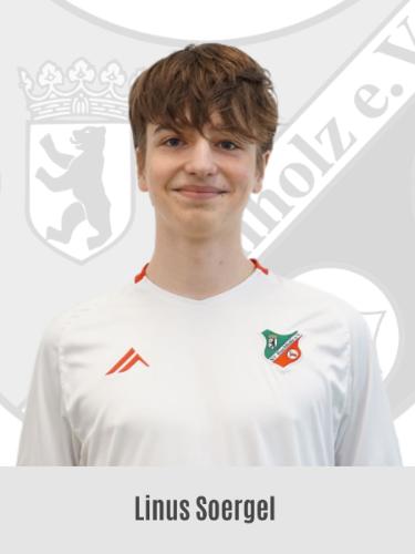 Linus Soergel