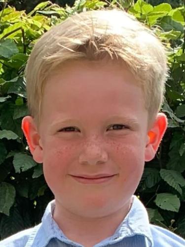 Theo van der Meer