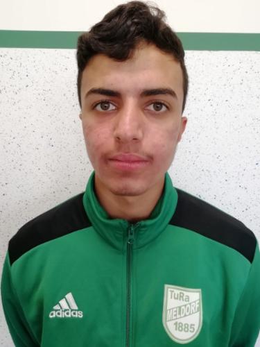 Mohammad Walid Mohammadi