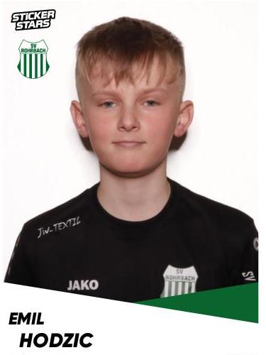 Emil Hodzic