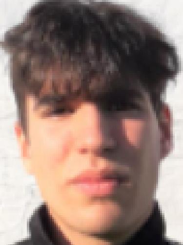 Rui Costa Neto