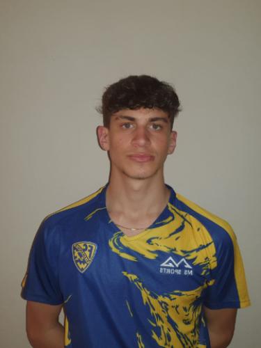 Daniel Guarino