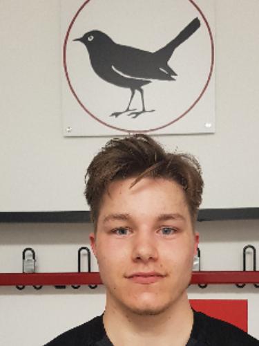 Noah Allendörfer