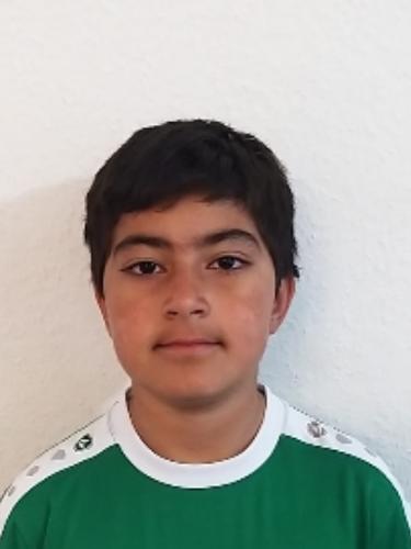 Mani Jakobi