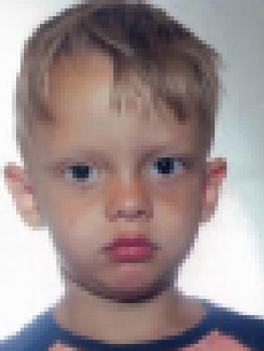 Theo Sommermeyer
