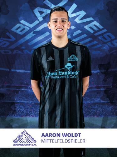 Aaron Woldt