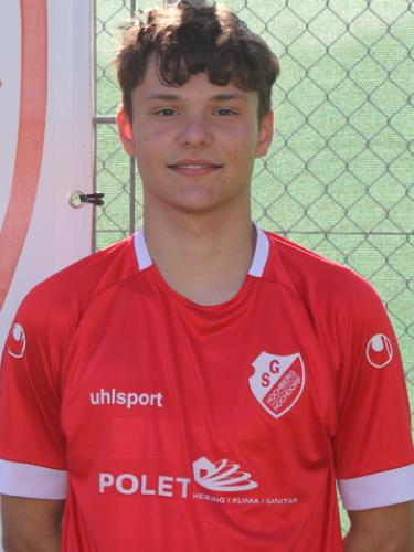 Darvin Bastoreala
