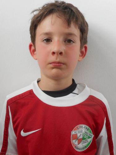 Theo Wulff
