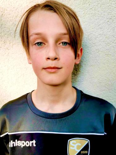 Hugo Steffen Krause
