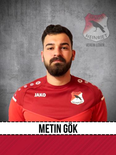 Metin Gök