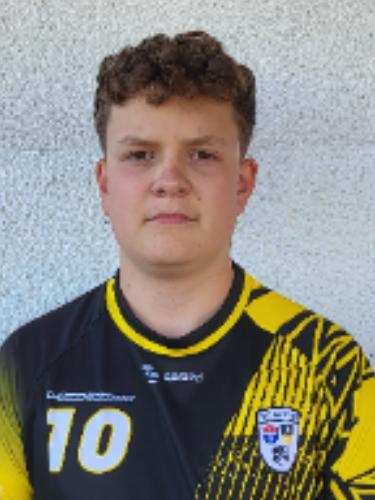 Louis Noel Mecklenburg