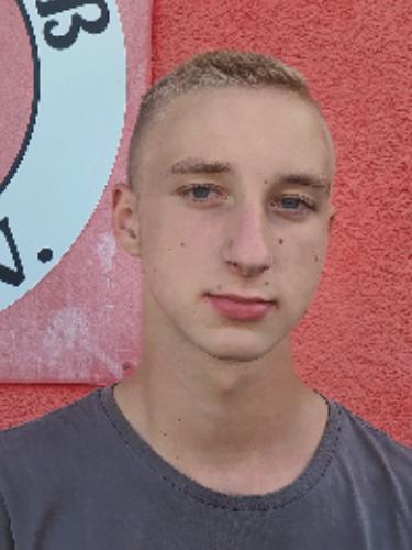 Max Mehler