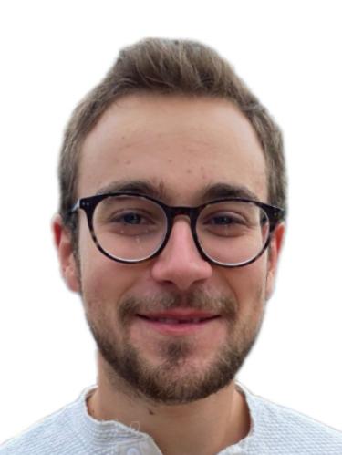 Noah Feldmann