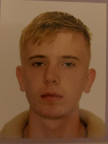 Merlin Maxim Bellendir