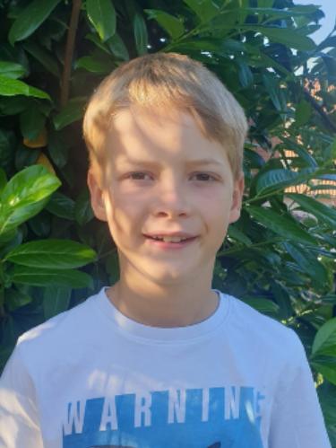 Niklas Weingärtner