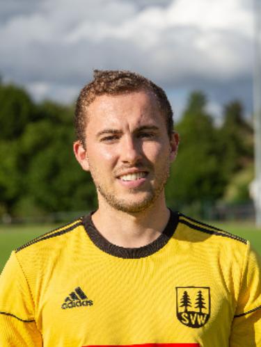 Dominik Wiedemann