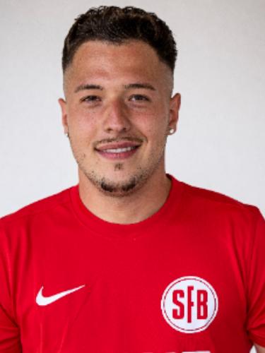 Albin Dzemaili