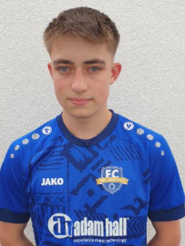 Arne Link