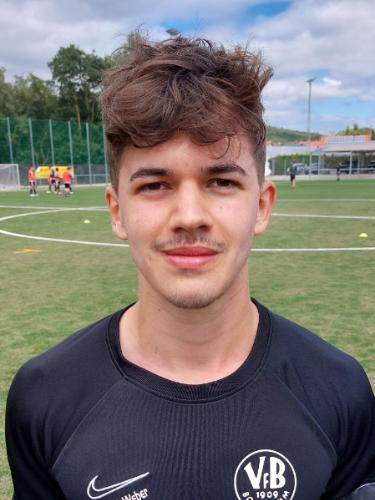 Emil Maximilian Freiherr Von Werthern