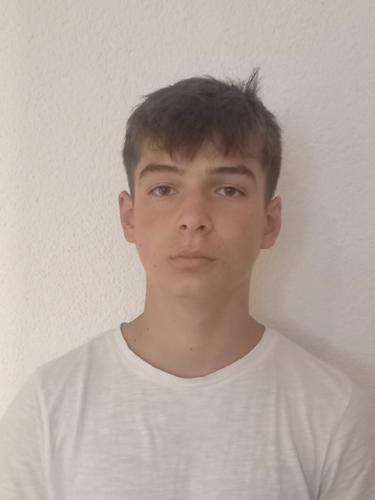 Luis Hauk
