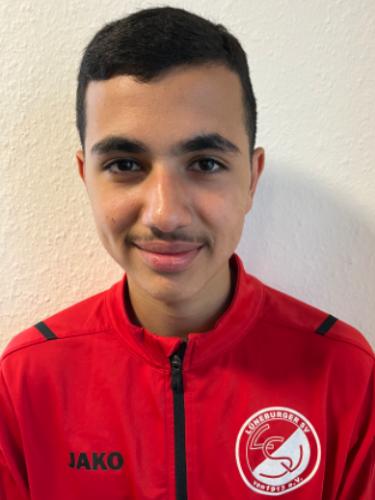 Mahmoud Hassan Hammour